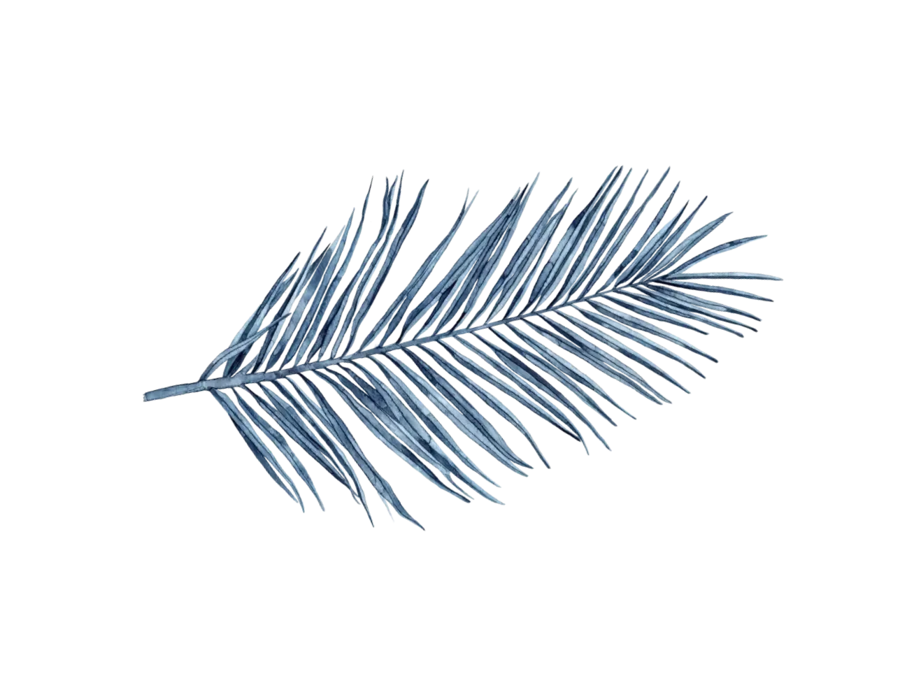Palm leaf pattern